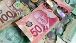 Le dernier versement de la TPS/TVH arrive cette semaine : Voici combien tu pourrais recevoir